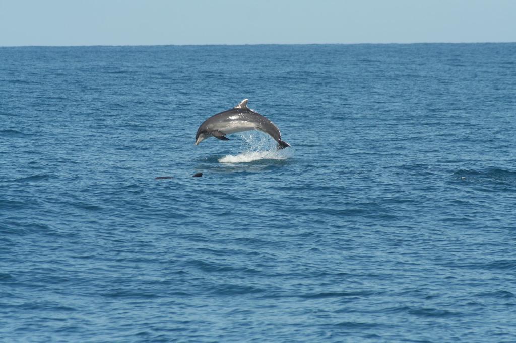 Vacanze A Viareggio Pokoj fotografie